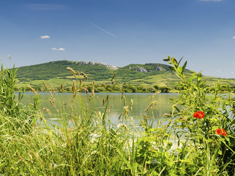 Lednicko – valtický areál